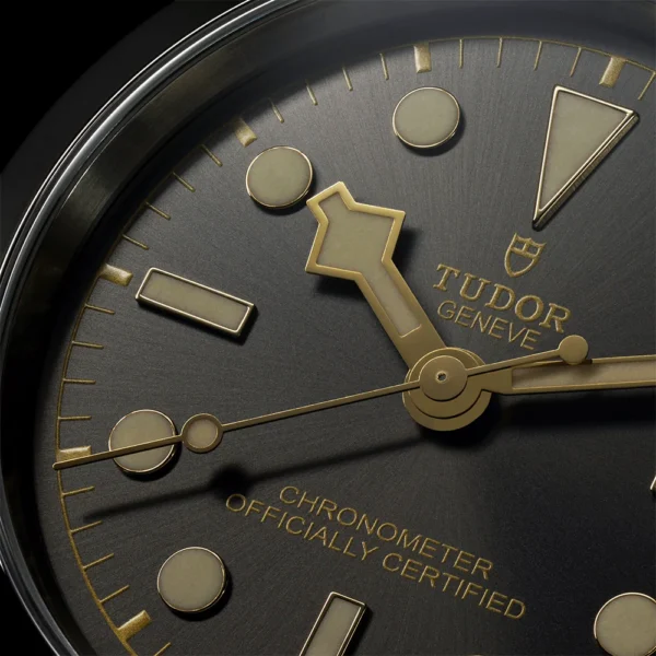 【7A Quality】TUDOR Black Bay 41mm Anthracite Dial Men's Automatic Bracelet Watch M79680-0001