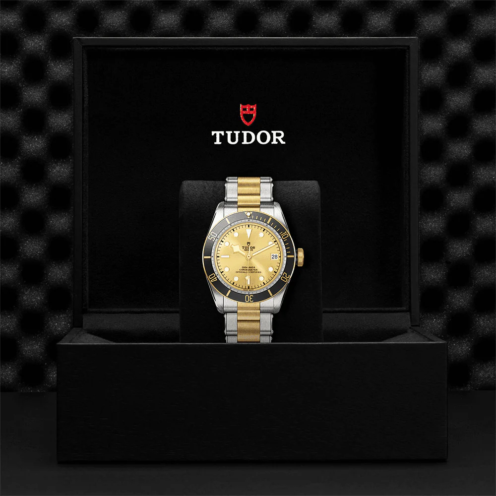 【7A Quality】TUDOR Black Bay S&G 41mm Champagne Dial Automatic Men's Bracelet Watch M79733N-0004