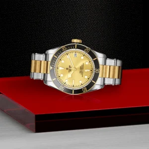 【7A Quality】TUDOR Black Bay S&G 41mm Champagne Dial Automatic Men's Bracelet Watch M79733N-0004