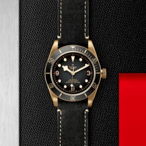 【7A Quality】TUDOR Black Bay Bronze 43mm Slate Grey Dial Men's Automatic Leather Strap Watch M79250BA-0001